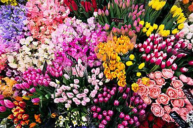 《星空》将有经典的Bethesda风格对话选项